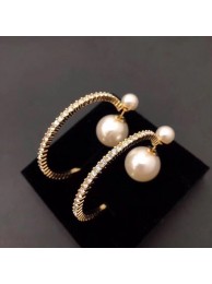 Dior Earrings CE6842 Tl9684Hn31