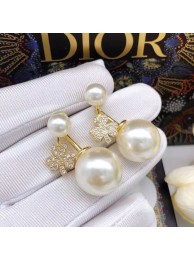 Dior Earrings CE6857 Tl9677Ym74