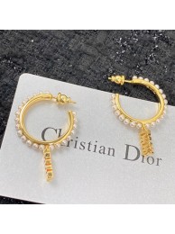 Dior Earrings CE7151 Tl9614yC28