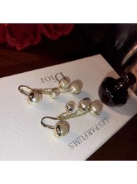 Dior Earrings CE7389 Tl9582yk28