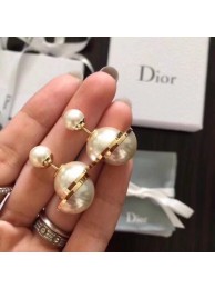 Dior Earrings CE7477 Tl9574Gw67