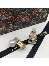 Dior Earrings CE7659 Tl9545vj67