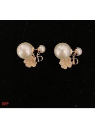 Dior Earrings CE7730 Tl9534UW57