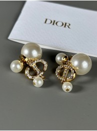 Dior Earrings CE7807 Tl9504MB38