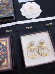 Dior Earrings CE7811 Tl9501mm78