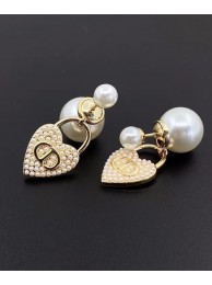 Dior Earrings CE7825 Tl9500lk46