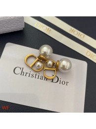 Dior Earrings CE8954 Tl9387Lo54