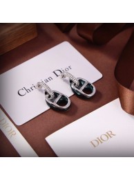 Dior Earrings CE9309 Tl9355sf78