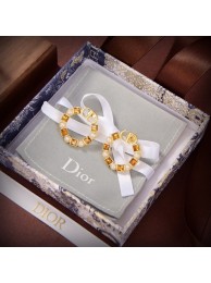 Dior Earrings CE9310 Tl9354Ea63