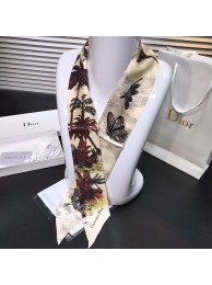 Dior Scarf DIC00003 Scarf Tl11248pk20