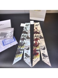 Dior Scarf DIC00004 Scarf Tl11247nE34