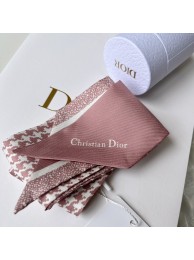 Dior Scarf DIC00014 Tl11237TL77