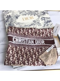 Dior Scarf DIS00073 Tl11251HW50