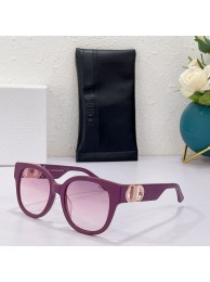 Dior Sunglasses Top Quality DIS00484 Sunglasses Tl11998Ri95