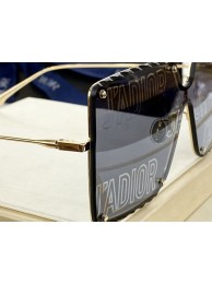 Dior Sunglasses Top Quality DIS00866 Tl11616HW50