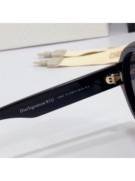 Dior Sunglasses Top Quality DIS00873 Tl11609zS17