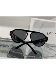 Dior Sunglasses Top Quality DIS00941 Tl11541VF54