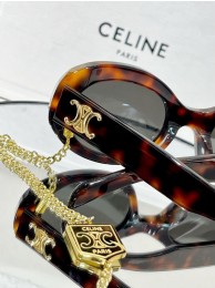 Fake Celine Sunglasses Top Quality CES00199 Tl5491pE71