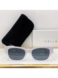 Fake Celine Sunglasses Top Quality CES00207 Tl5483xR88