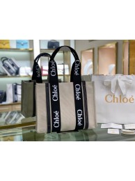 Fake Chloe Cloth & leather 6C026 black Tl17904yQ90