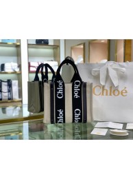 Fake Chloe Cloth & leather 6C027 black Tl17902Qv16