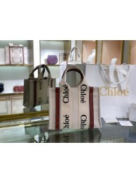 Fake Chloe Cloth & leather 6C027 brown Tl17901pE71