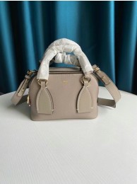 Fake Chloe Original Calfskin Leather Bag 6C081 grey Tl17897qZ31