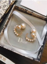 Fake Dior Earrings CE5070 Tl9984Lh27