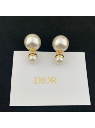 Fake Dior Earrings CE7810 Tl9502qZ31