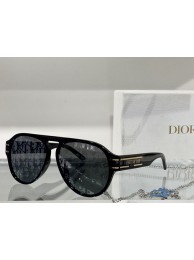 Fake Dior Sunglasses Top Quality DIS00466 Tl12016EQ38