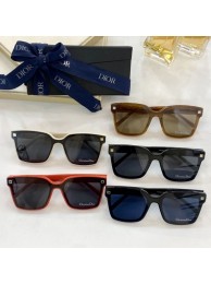 Fashion Dior Sunglasses Top Quality DIS01015 Tl11467wc24