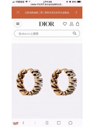 Imitation Dior Earrings CE6833 Tl9689SU87