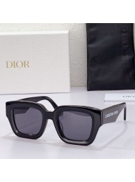 Imitation Dior Sunglasses Top Quality DIS00035 Sunglasses Tl12447Oz49