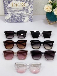 Imitation Dior Sunglasses Top Quality DIS00987 Tl11495Za30