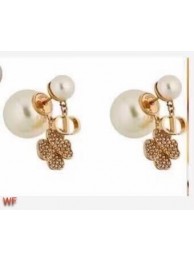 Knockoff Dior Earrings CE6478 Tl9762iV87