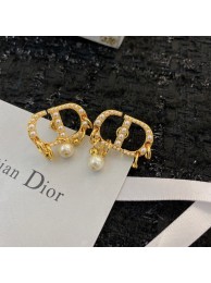 Knockoff Dior Earrings CE8913 Tl9393ch31