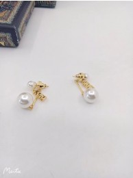 Luxury Dior Earrings CE6839 Tl9686Px24