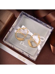 Luxury Dior Earrings CE9315 Tl9349kp43