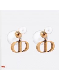 Replica Best Quality Dior Earrings CE6194 Tl9811Rf83