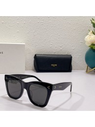 Replica Celine Sunglasses Top Quality CES00212 Tl5478Ix66