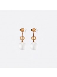 Replica Dior Earrings CE4888 Tl10020CQ60