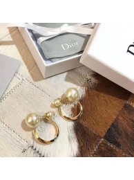 Replica Dior Earrings CE5183 Tl9965Fi42