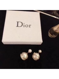 Replica Dior Earrings CE7110 Tl9623ui32