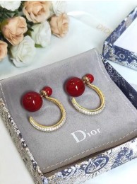 Replica Dior Earrings CE7215 Tl9607AP18