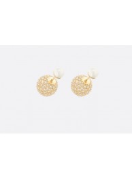 Replica Dior Earrings CE9495 Tl9329Yn66