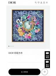 Replica Dior Scarf DIC00043 Tl11208Hd81