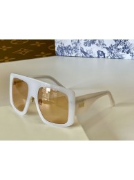 Replica Dior Sunglasses Top Quality DIS00555 Tl11927BB13