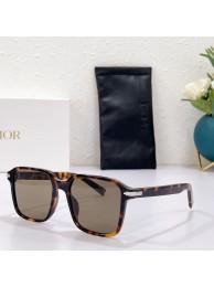 Replica Dior Sunglasses Top Quality DIS00799 Tl11683Ix66