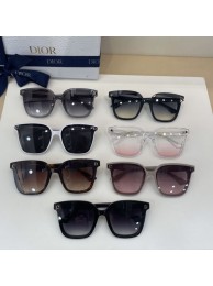 Replica Dior Sunglasses Top Quality DIS01002 Tl11480CQ60