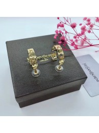 YSL Earrings CE5600 Tl15386JD63